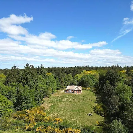 Hébergement de vacances 10077-ulfborg-graemvej-89 Husby